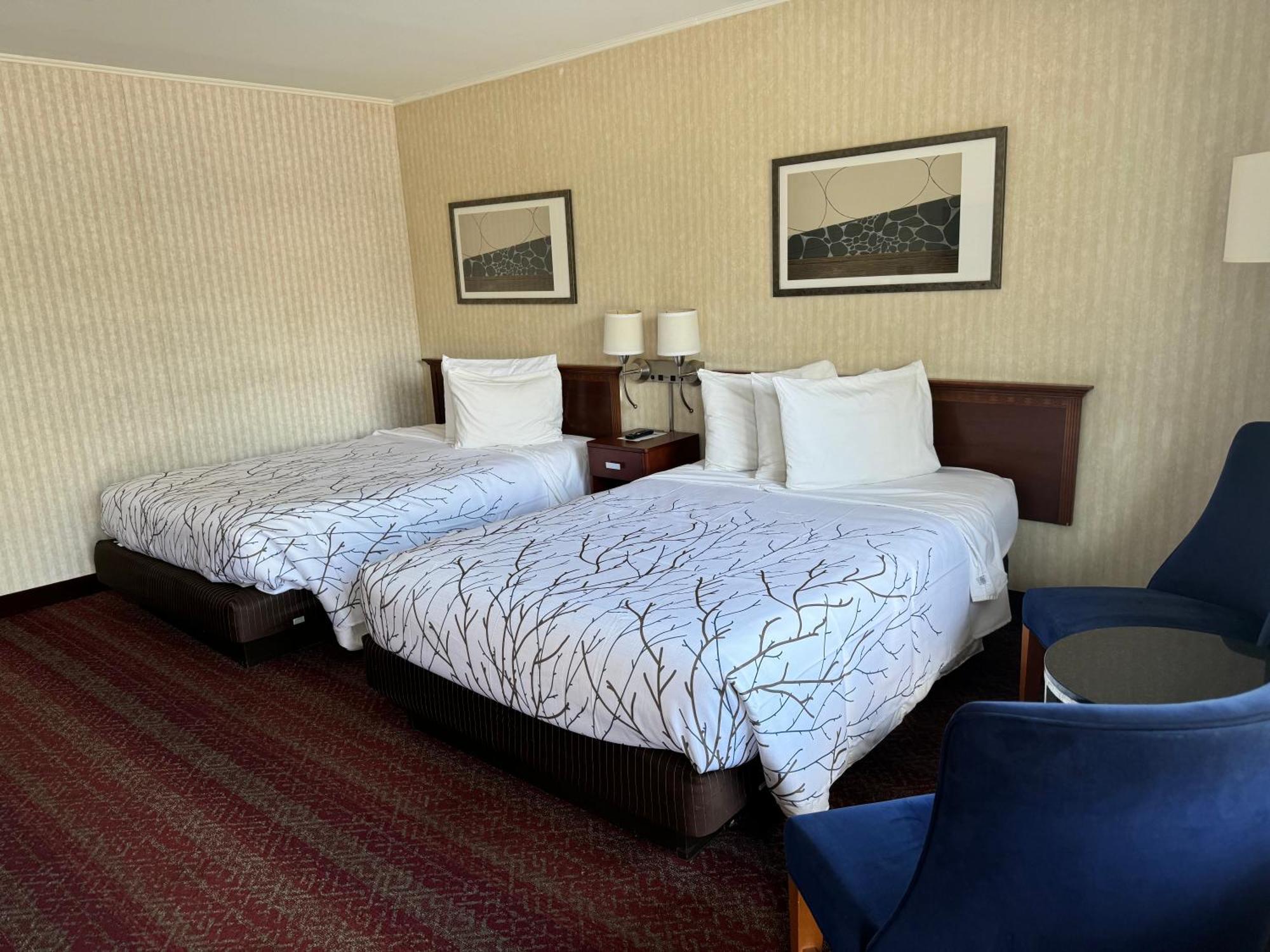 Double Room Two Double Beds