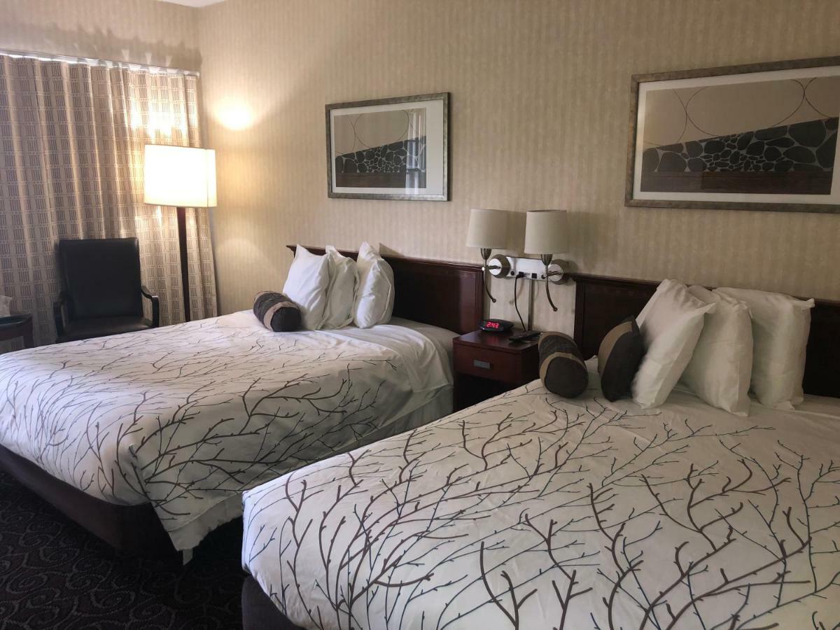 Double Room Two Double Beds