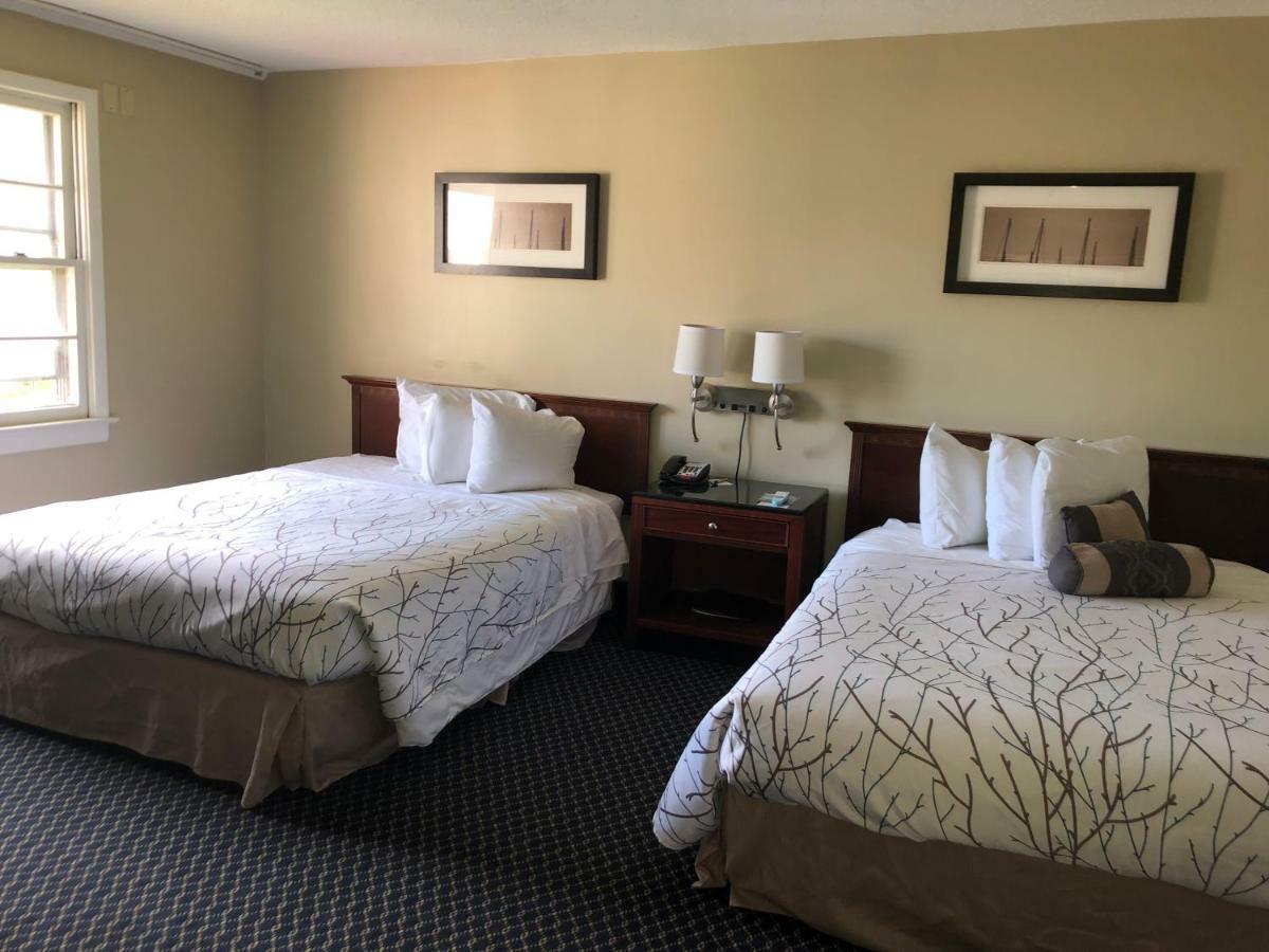 Double Room Two Double Beds